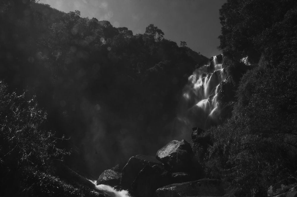 Photograph by Chamara Sulakkhana Polwatta Siriyalage