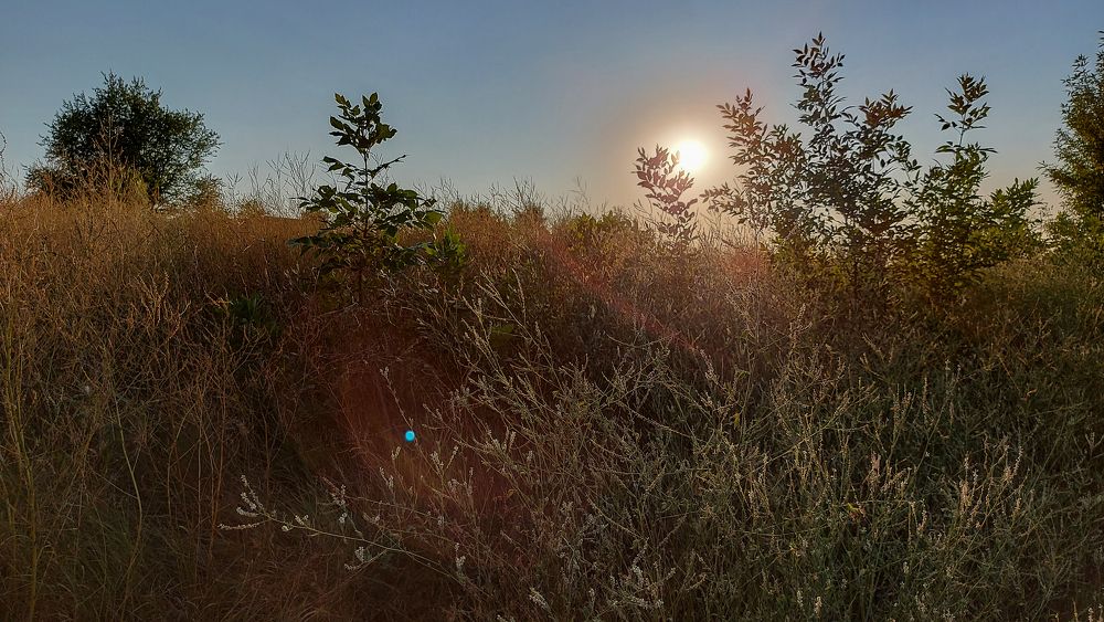 Photograph by Валентина Михайлова