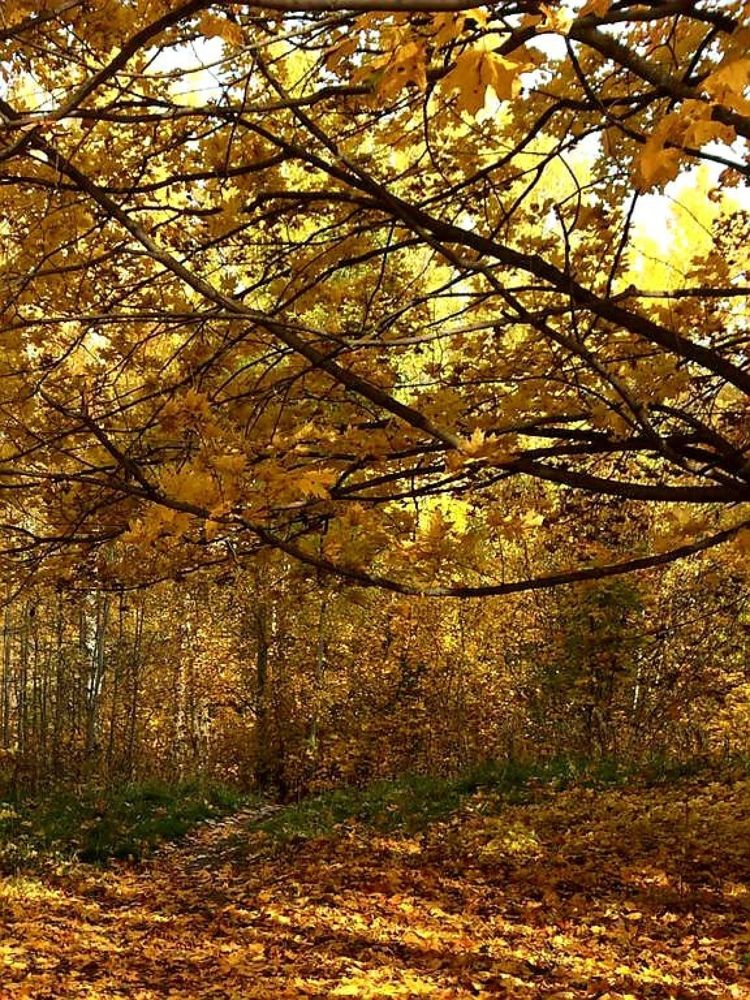 Photograph by Любовь Кочуганова