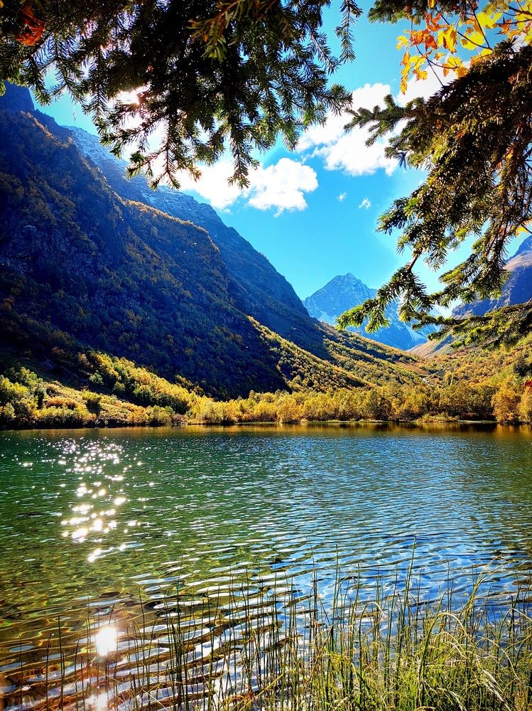 Photograph by Евгения Боровицкая