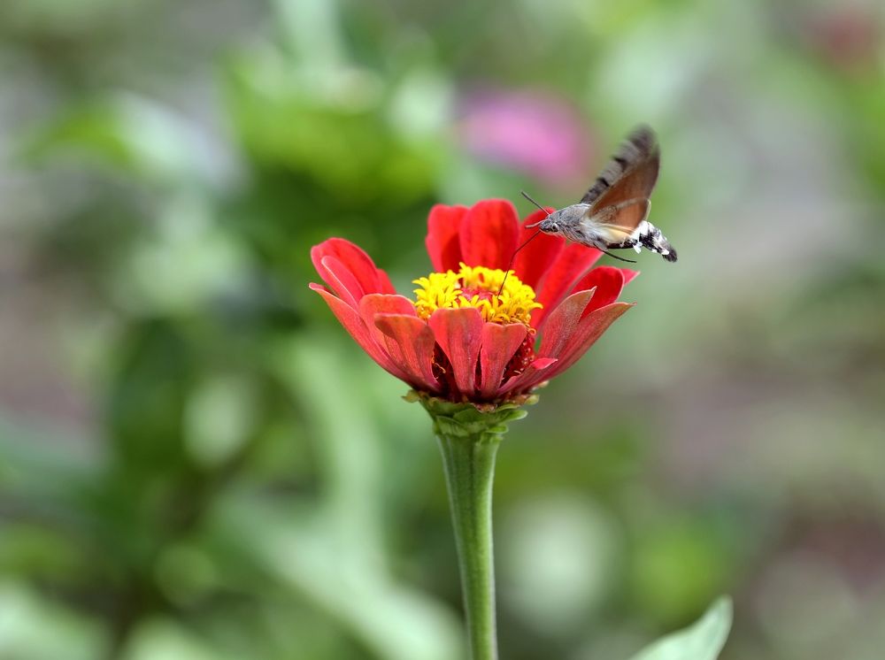 Photograph by Александр Николаев