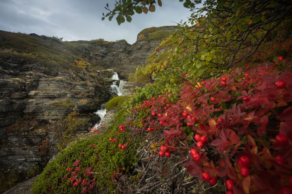 Photograph by Елена Станькова