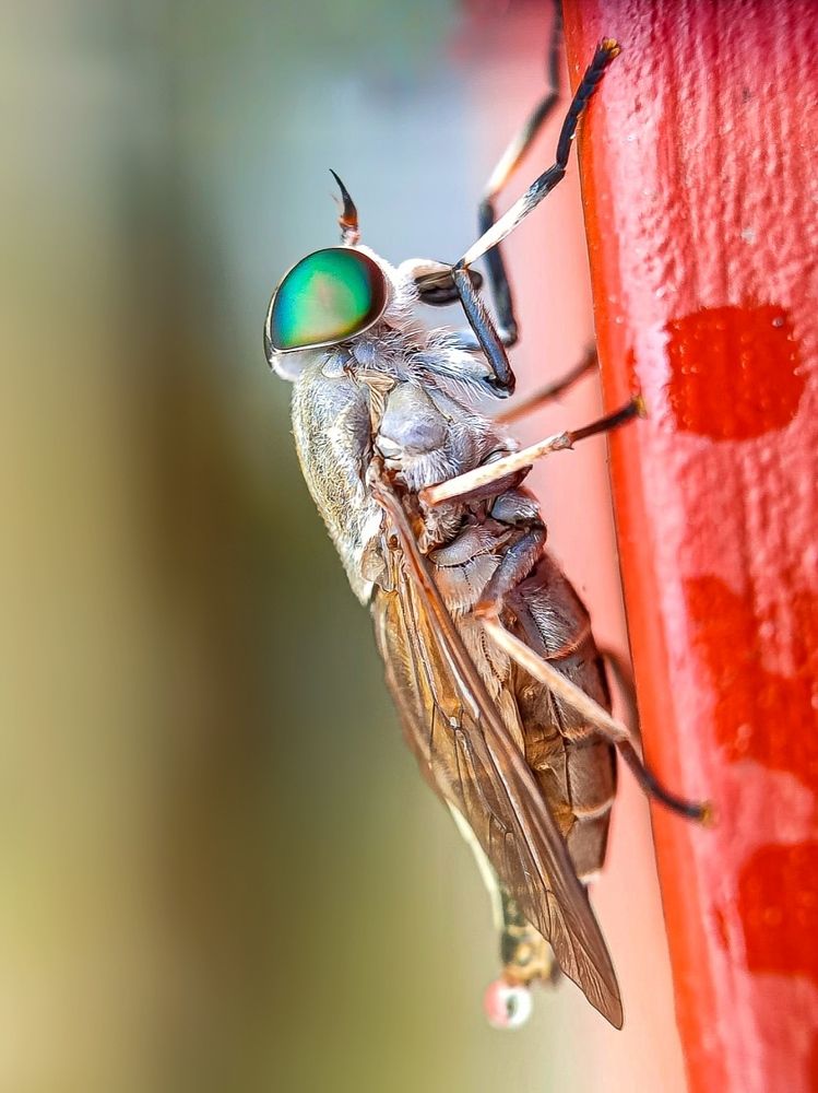 Photograph by Susmita Ghosh