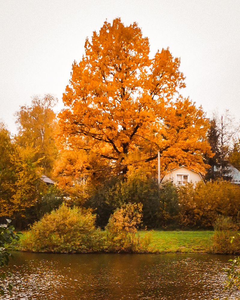 Photograph by Наталья Асоскова