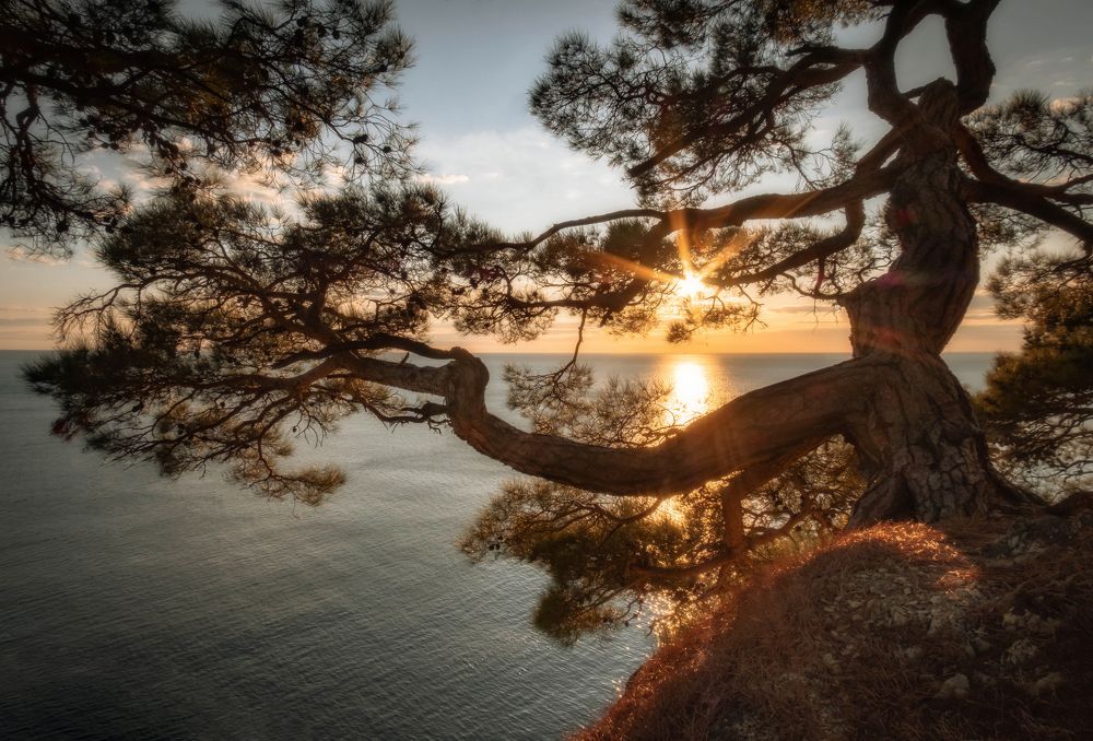 Фотография автора Константин Яковлев