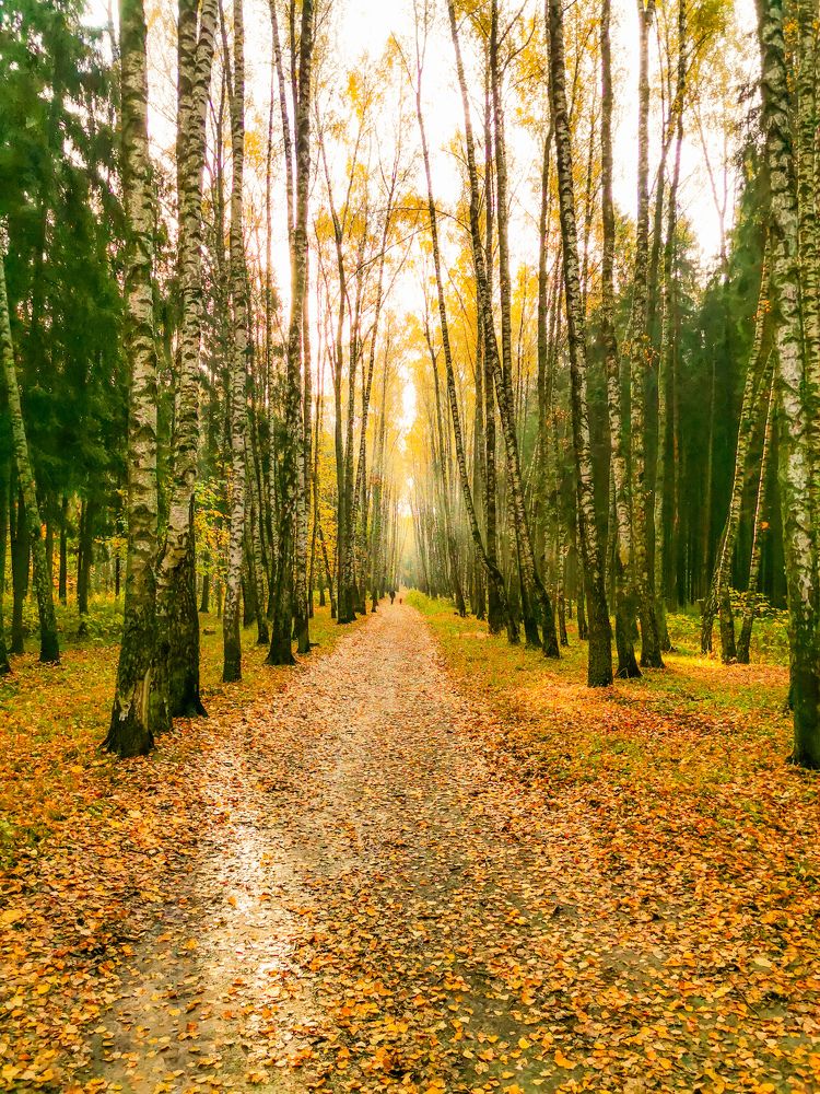 Photograph by Наталья Асоскова