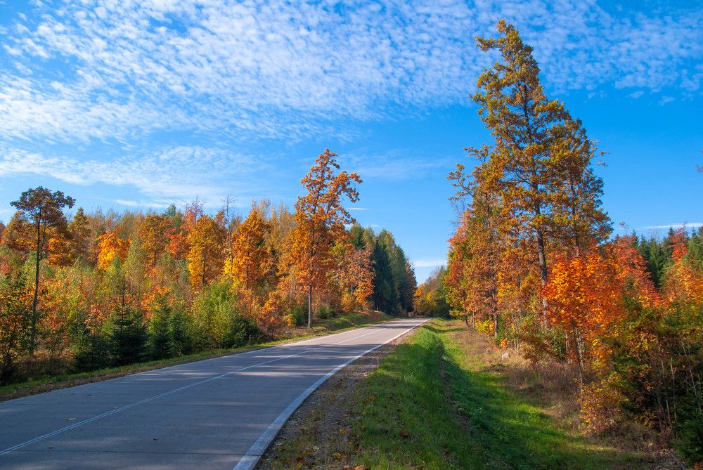 Photograph by Диана Бородзе