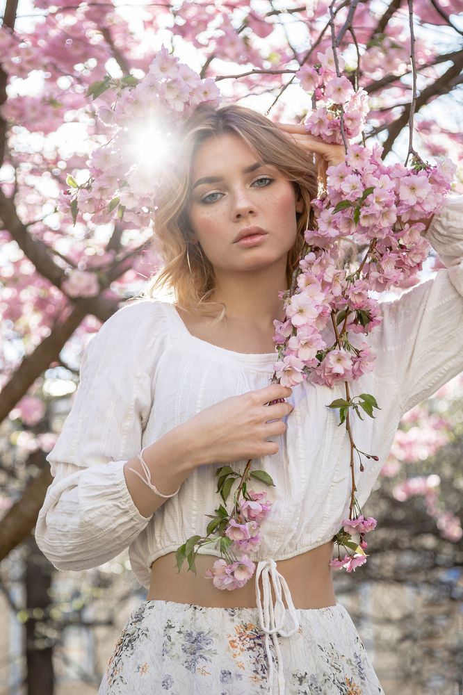 Цветок сакуры