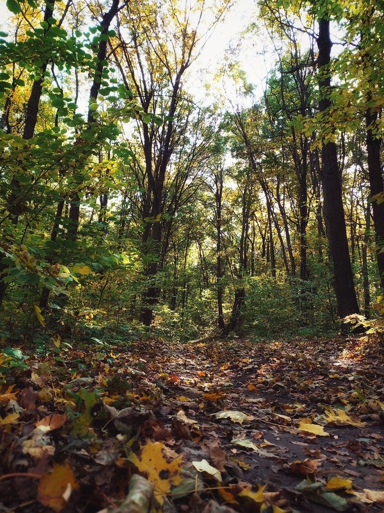 Photograph by Александр Панин