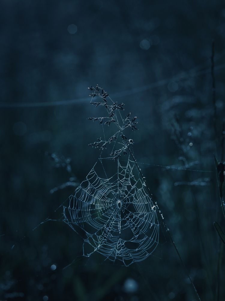 Photograph by z14photo