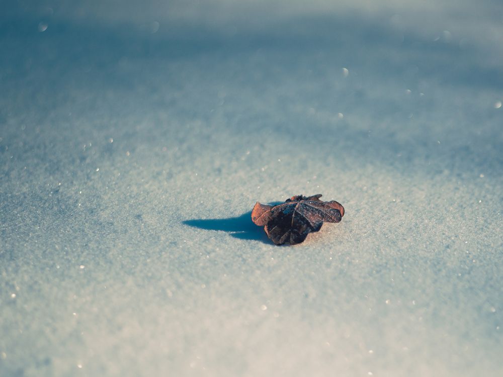 Photograph by z14photo