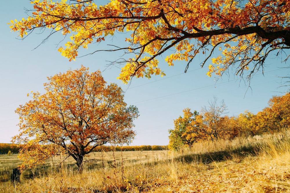 Photograph by Евгений Пивкин