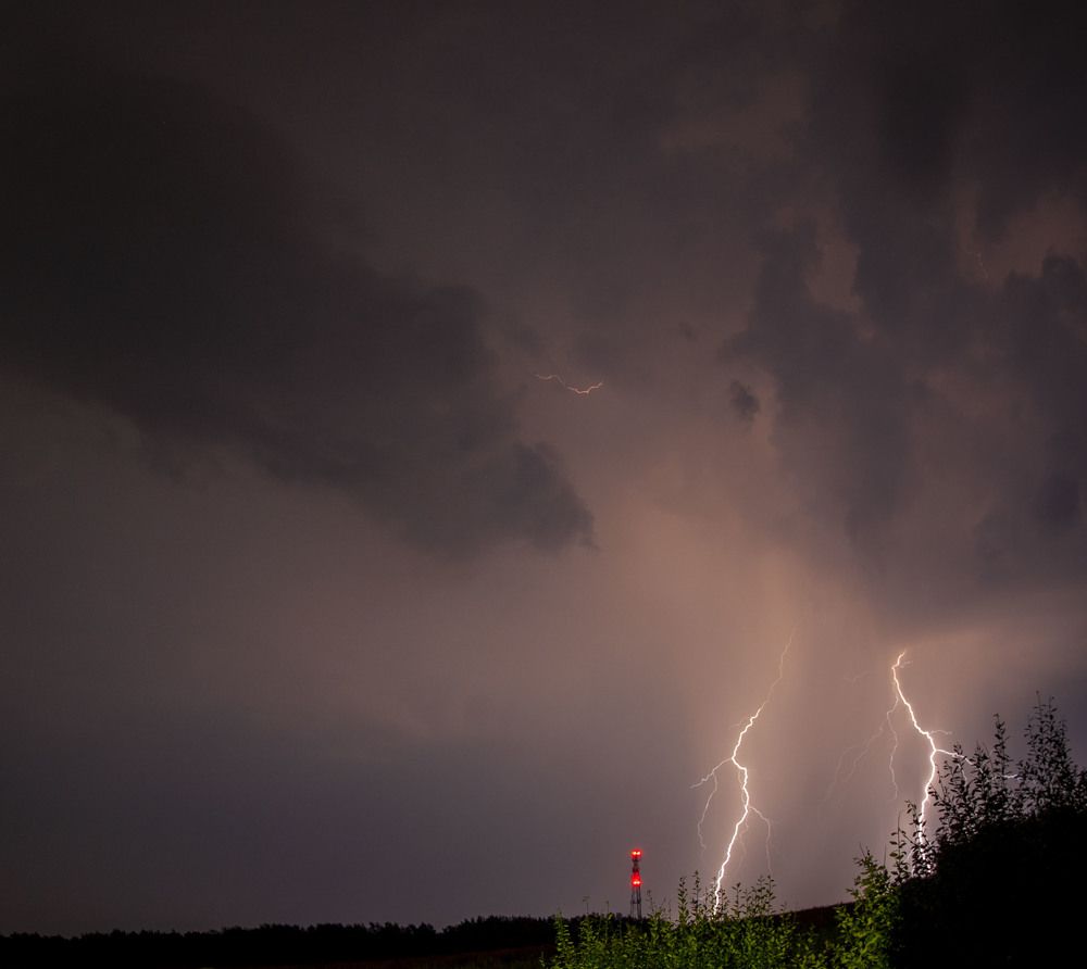 Photograph by Николай Алексеев