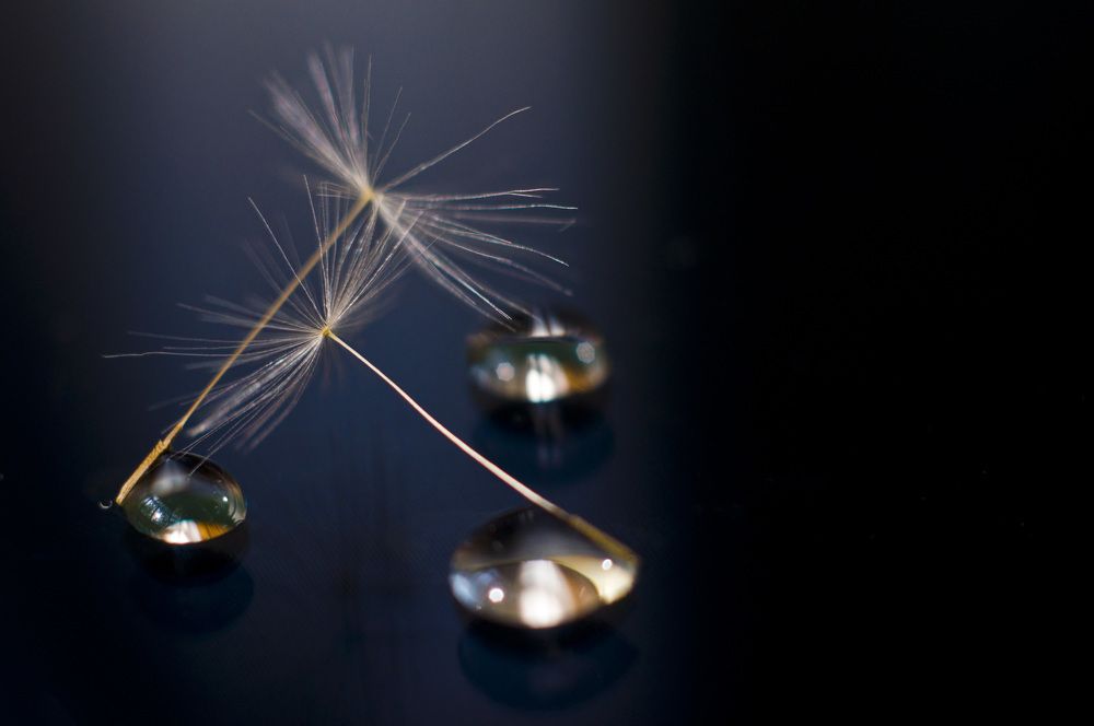 Photograph by Мария Усманова