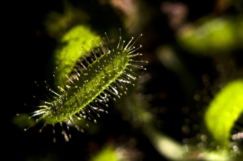 Photograph by Мария Усманова