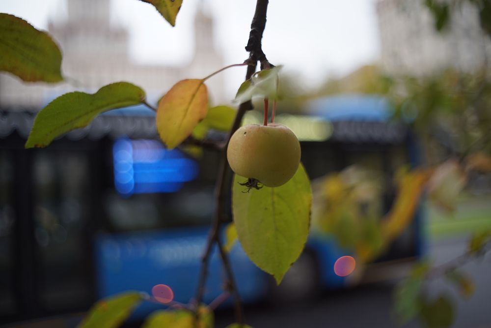 Photograph by Павел Левашов