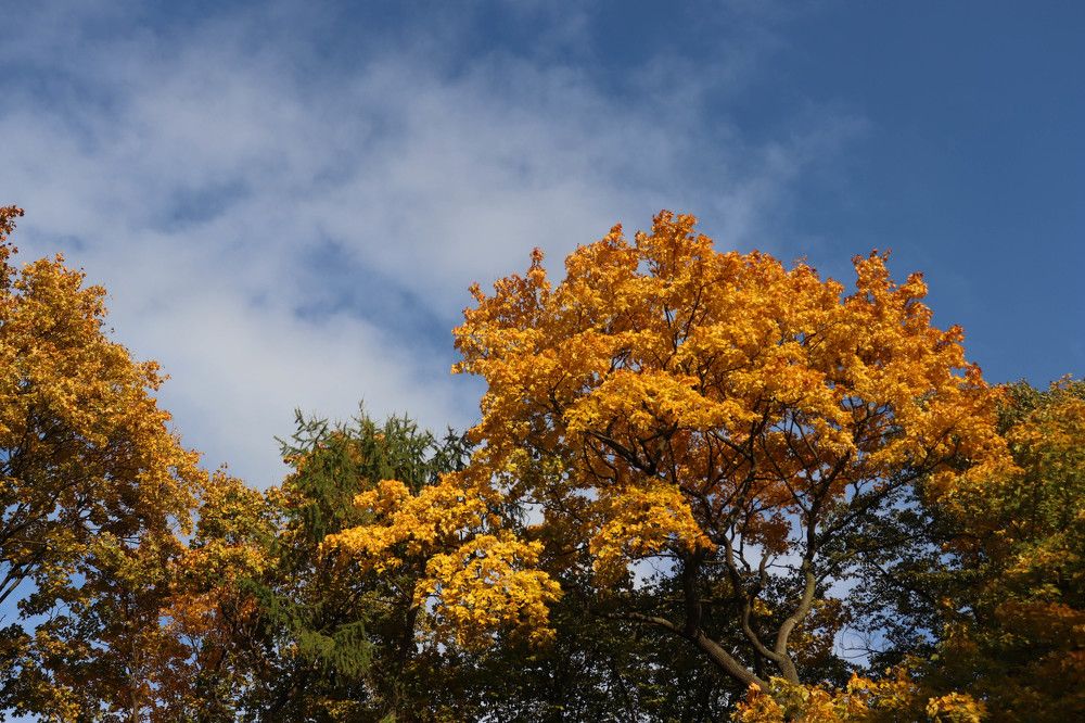 Photograph by Пётр Васильев