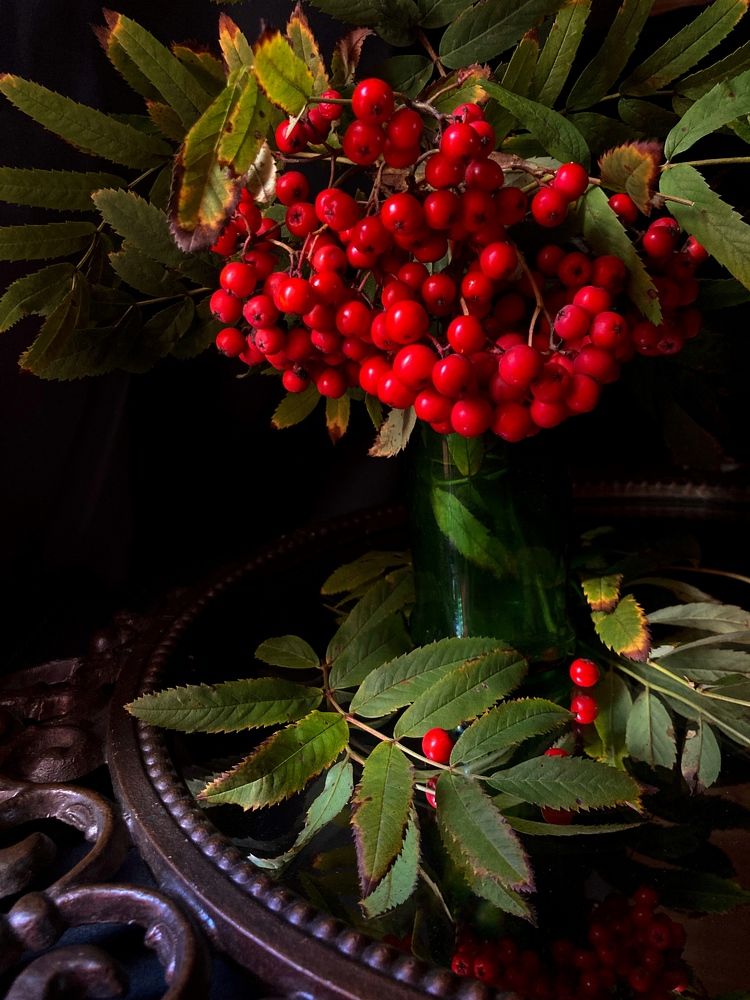 Photograph by Алла Творогова