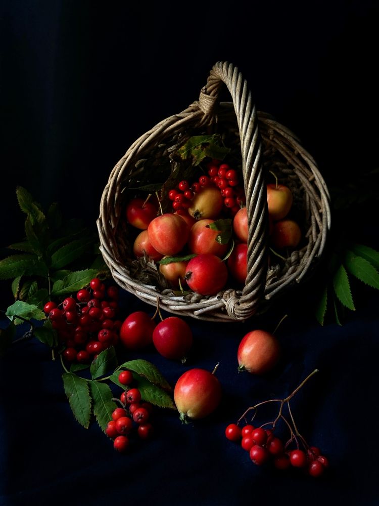 Photograph by Алла Творогова