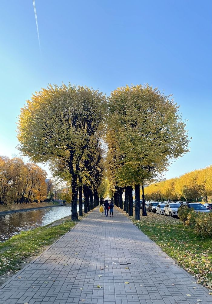 The Heart of St. Petersburg