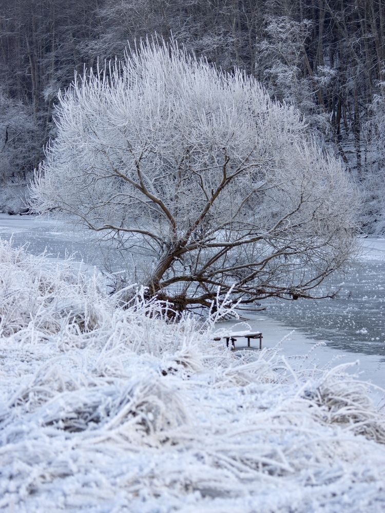 Photograph by Anna Levina