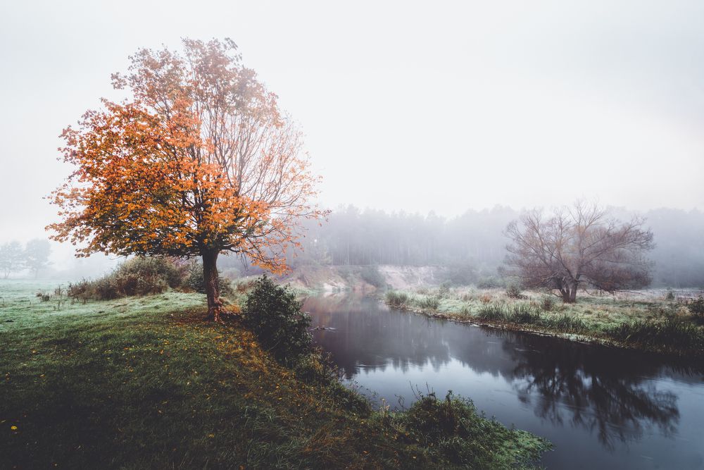 Photograph by Dariusz Budyta