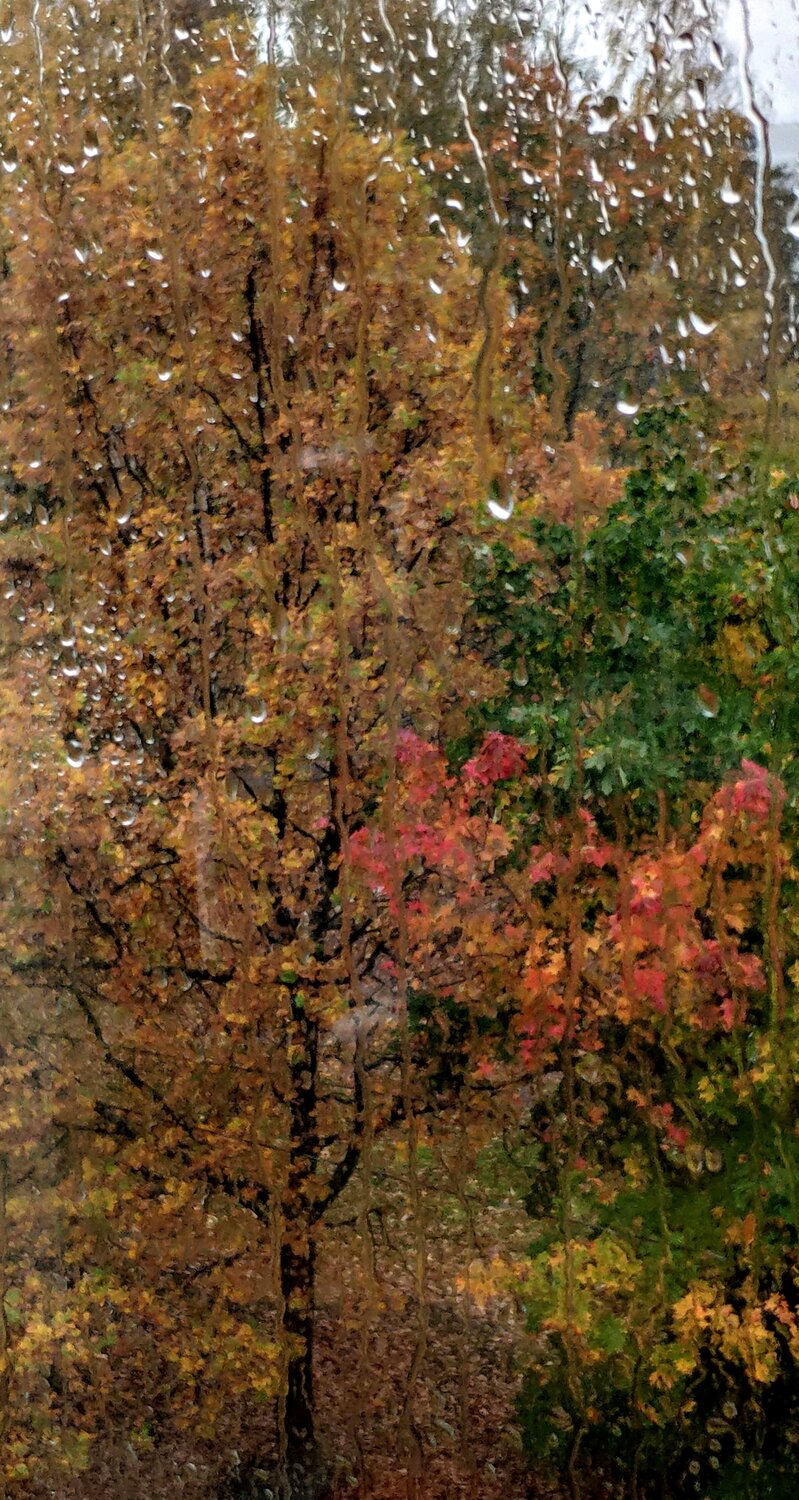 Photo #6549064