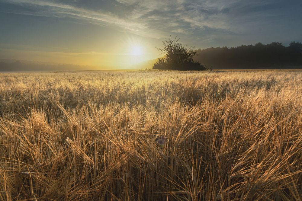 Photograph by Nikita Silyavin