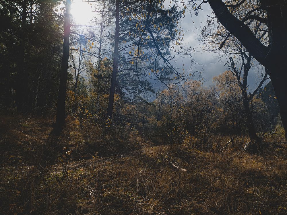 Photograph by Elena Kilina