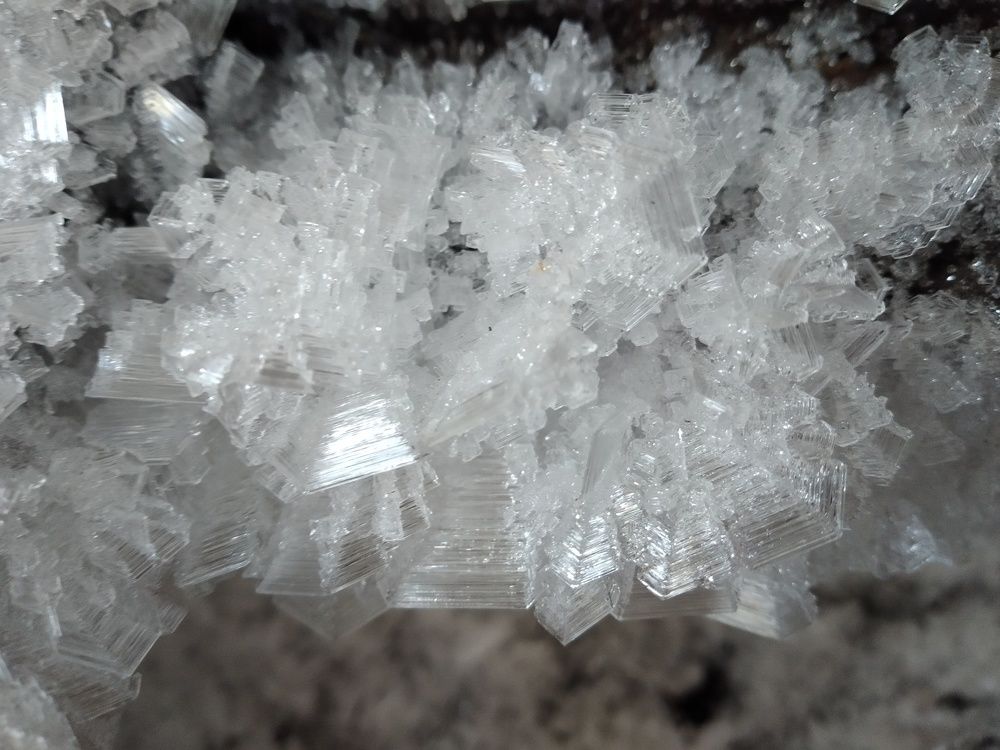 Photo #6549154