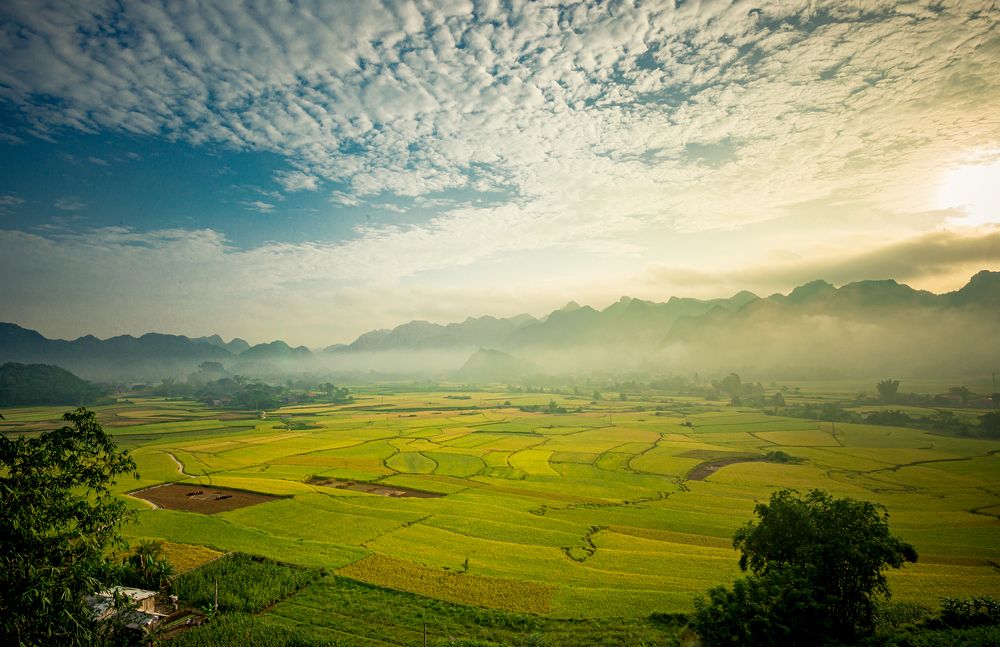 Фотография автора Đào Cảnh