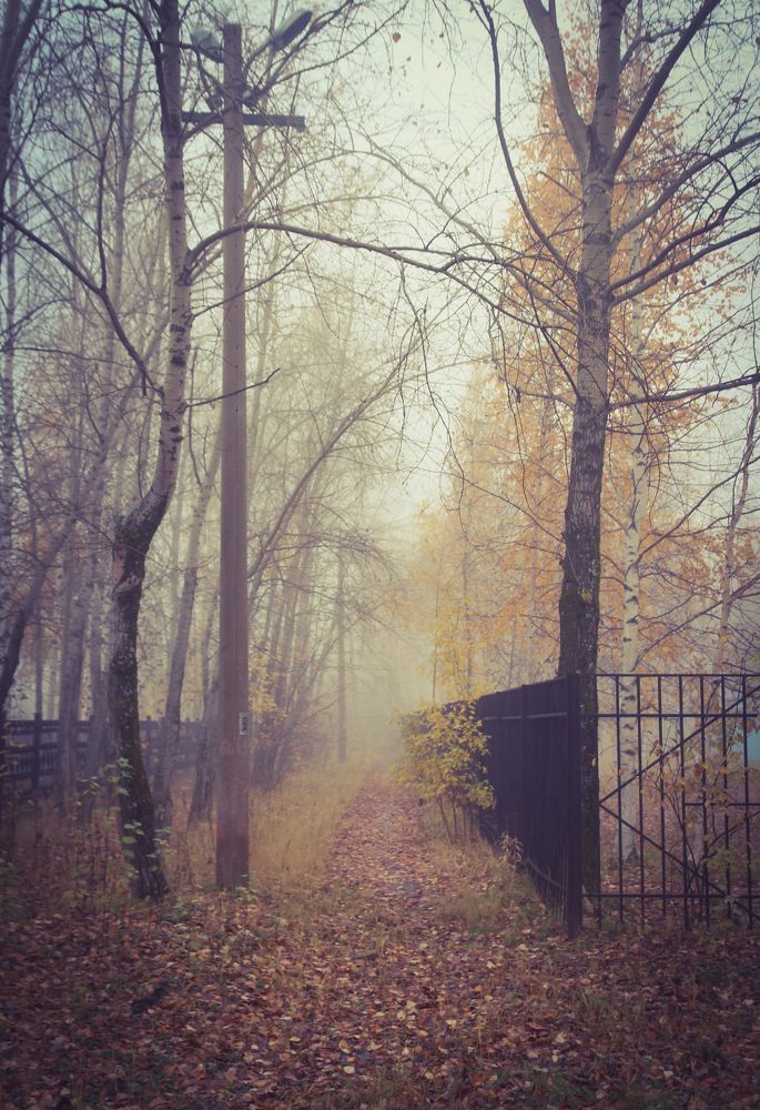 Photograph by Анна Дорофеева