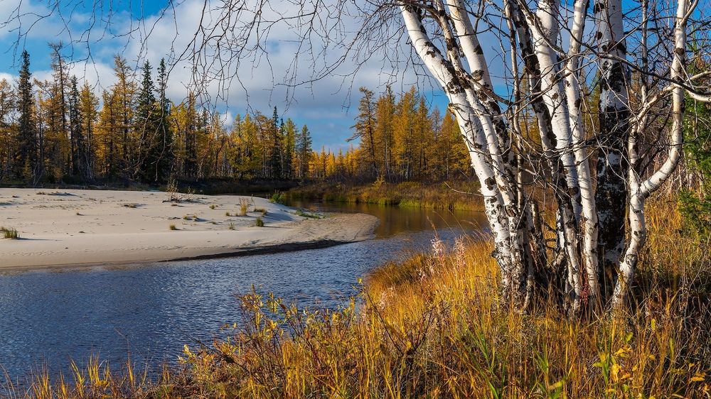 Уж небо осенью дышало