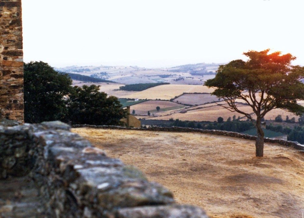 Photograph by Julio Cesar Almeida