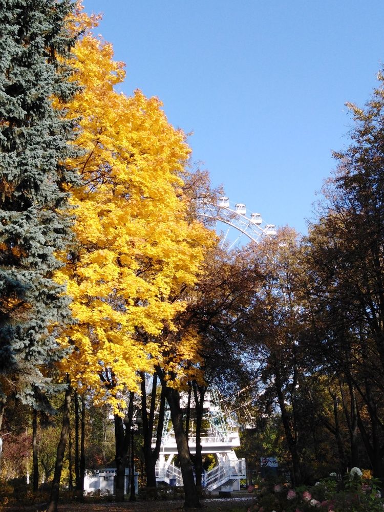 Photograph by Елена