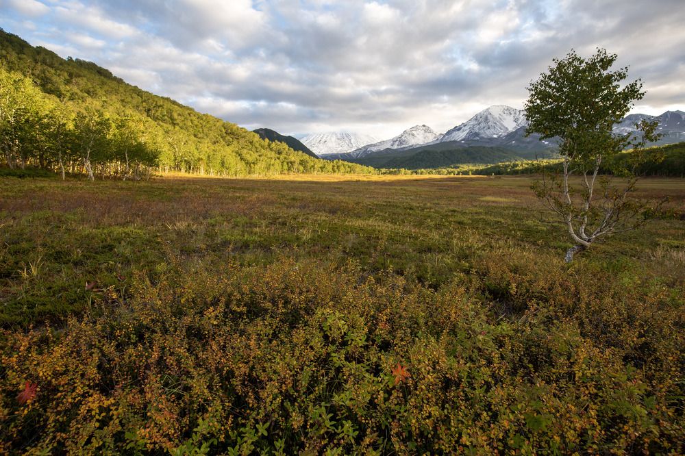 Photograph by Елена Хорохорина