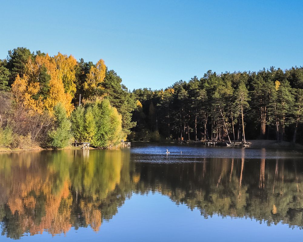 Photograph by Эльвира Курочкина