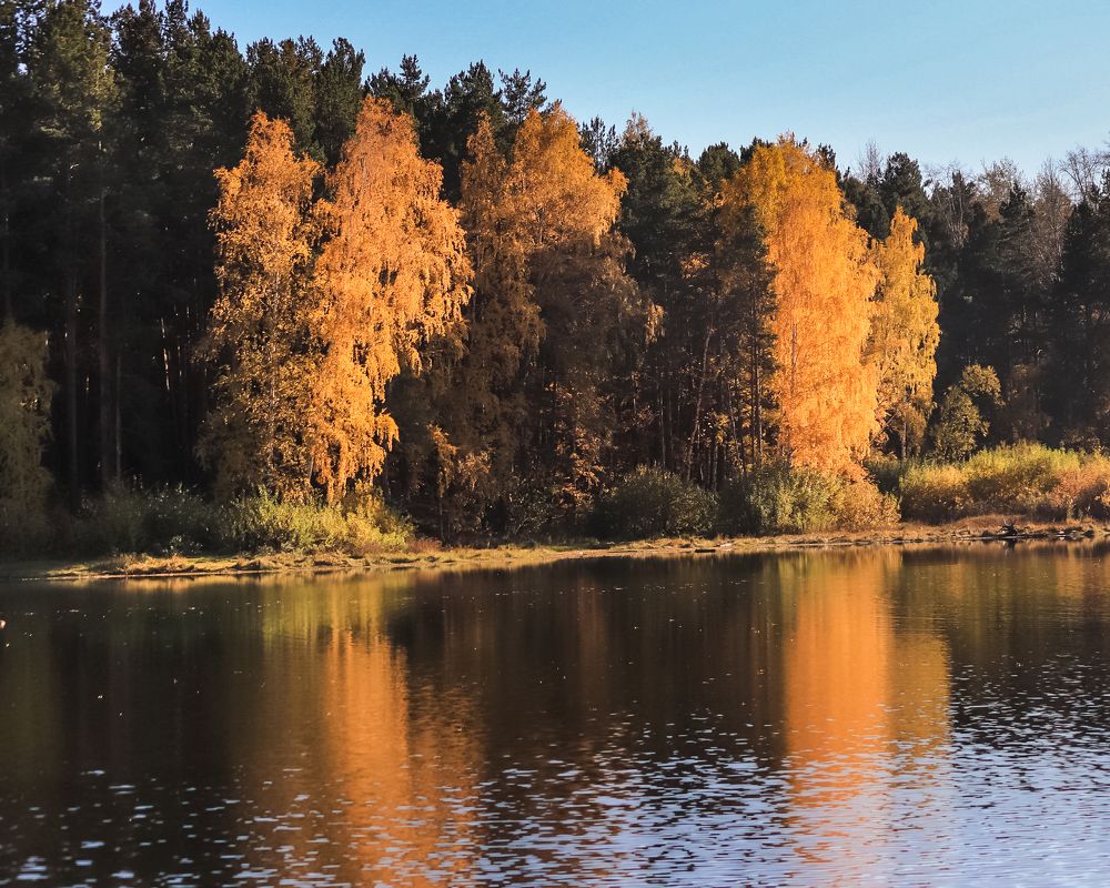 Photograph by Эльвира Курочкина