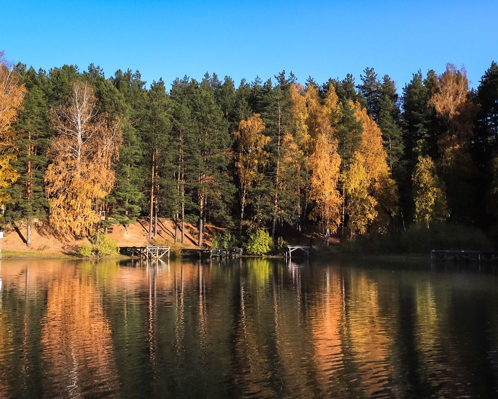 Photograph by Эльвира Курочкина