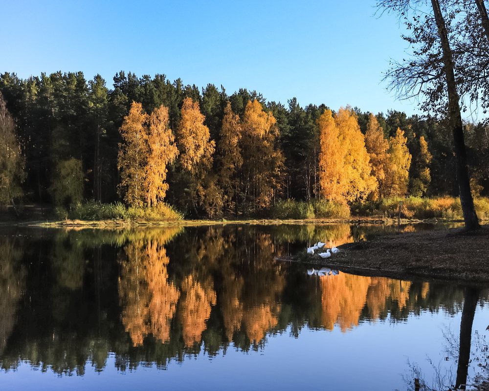 Photograph by Эльвира Курочкина