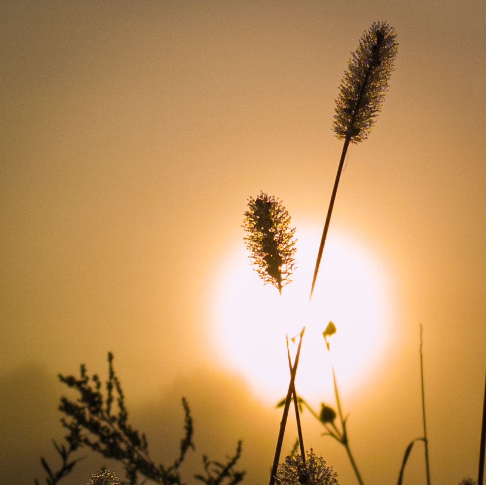 Photograph by Сергей Заглумин