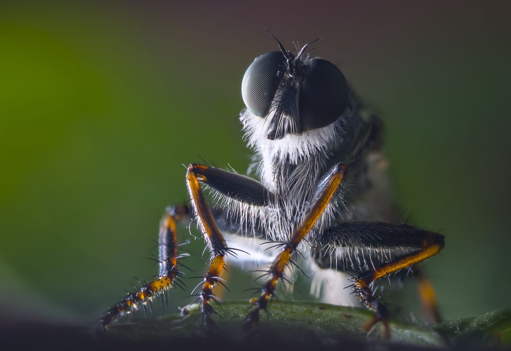 Photograph by Александр Рындин