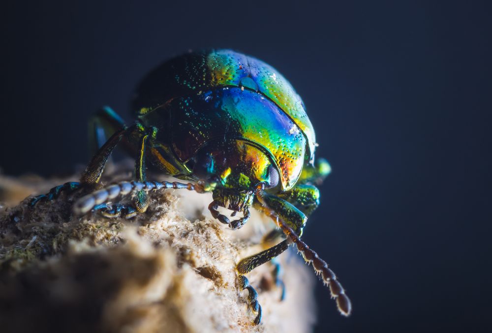 Photograph by Александр Рындин