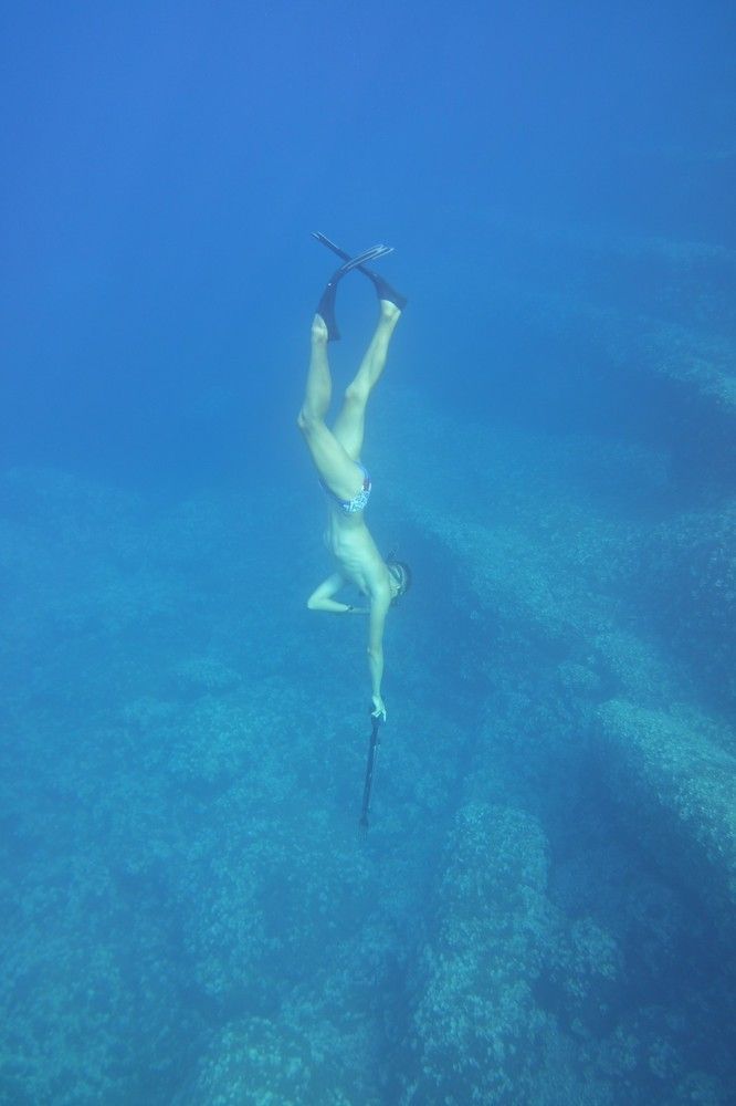 Фотография автора Ines Miljan Popovic