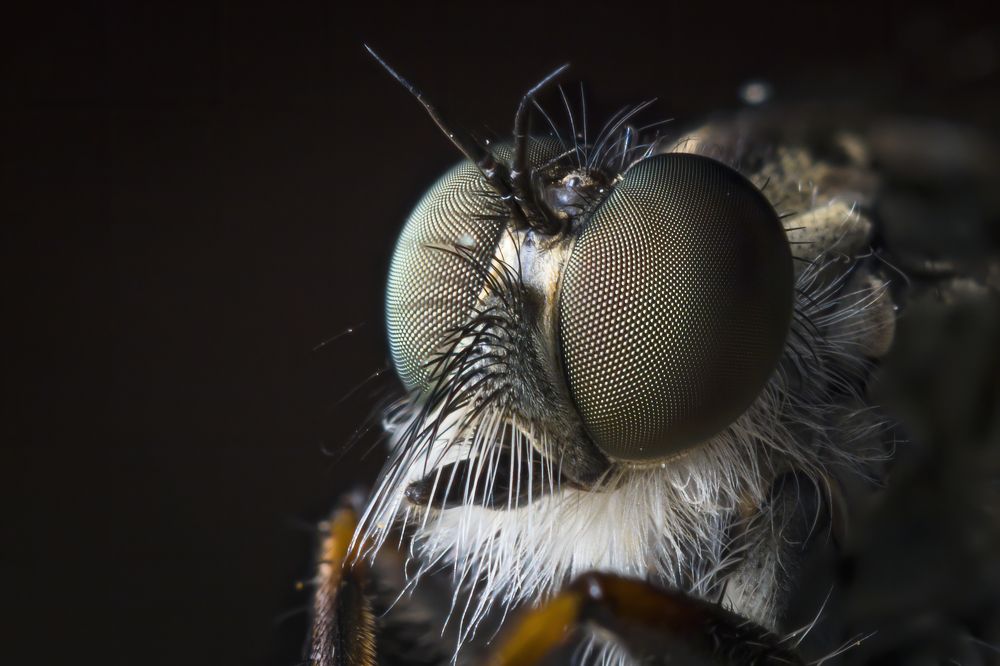 Photograph by Александр Рындин