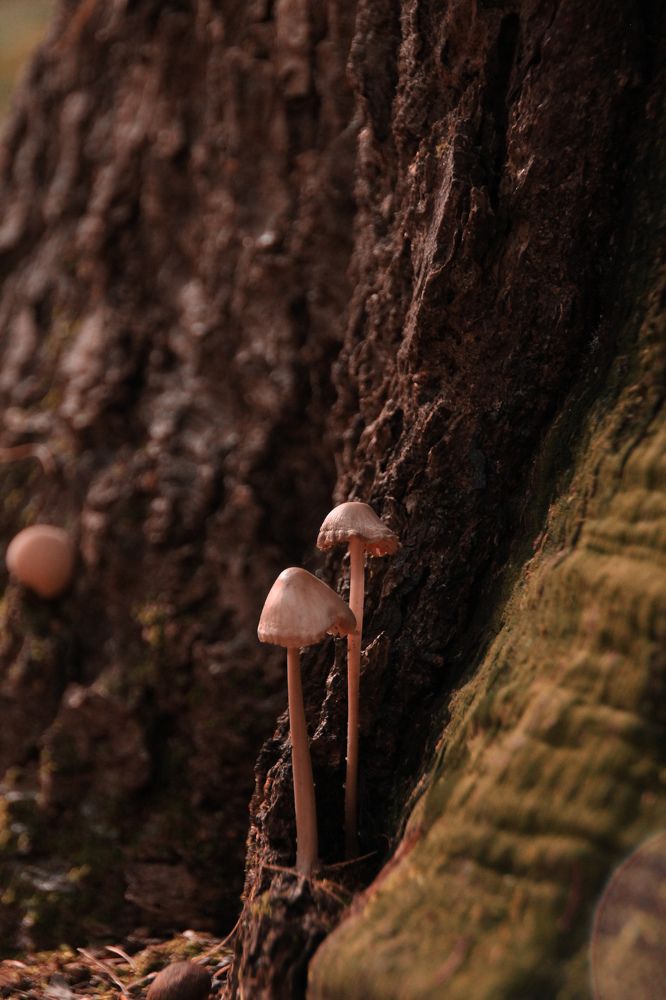 Photograph by Юлия Журавлёва