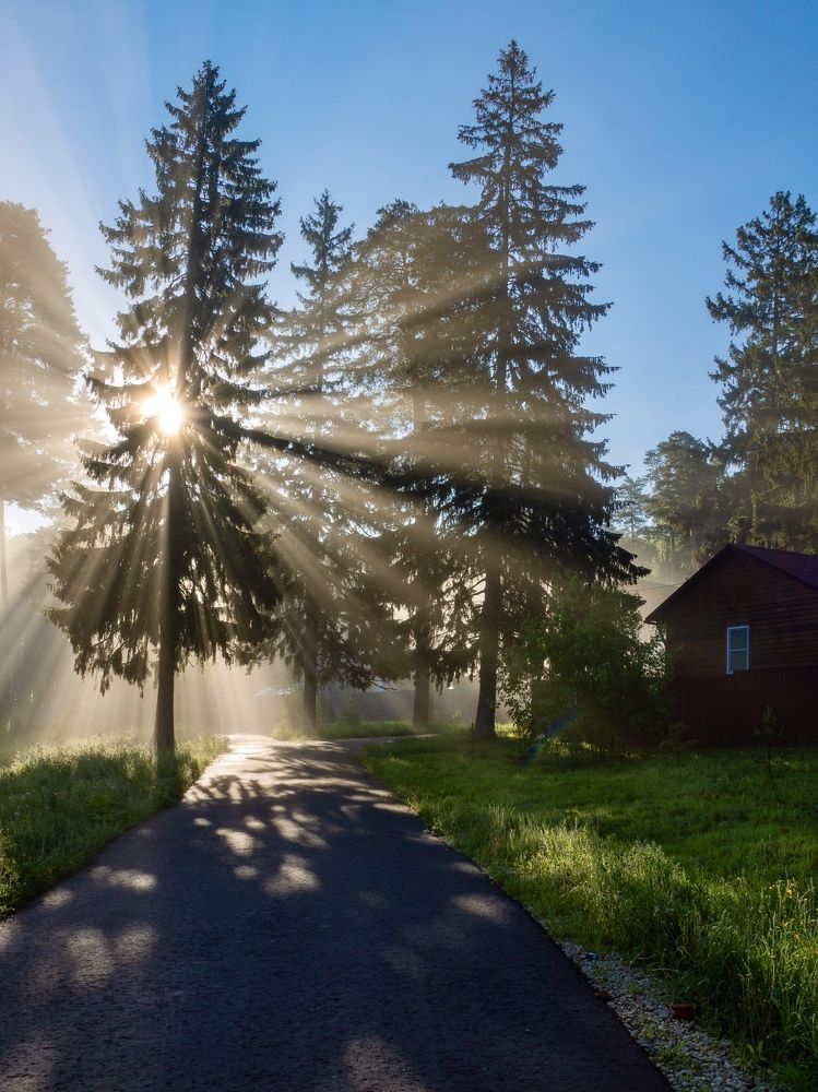 Photograph by Anna Levina