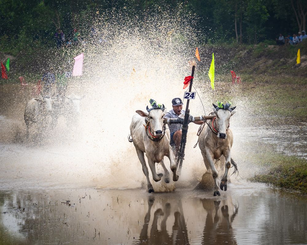 Photograph by Phan Thu
