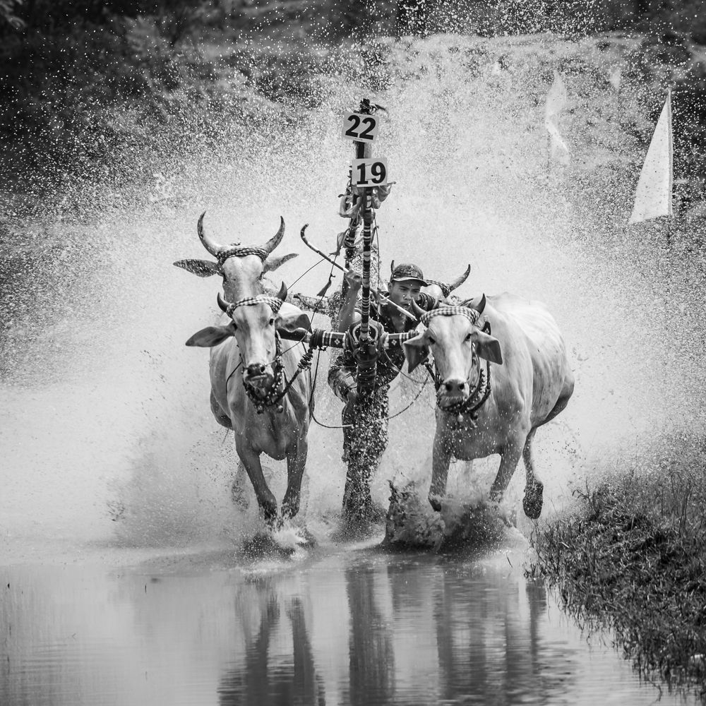 Photograph by Phan Thu