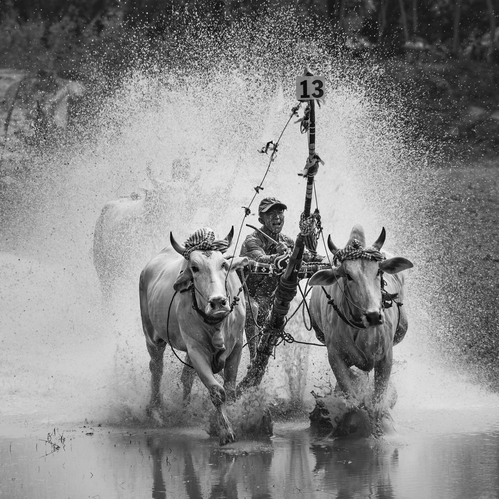 Photograph by Phan Thu